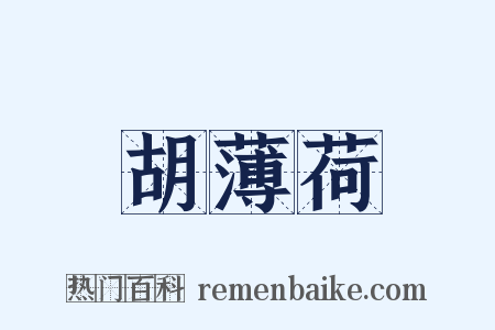胡薄荷是什么意思的图片